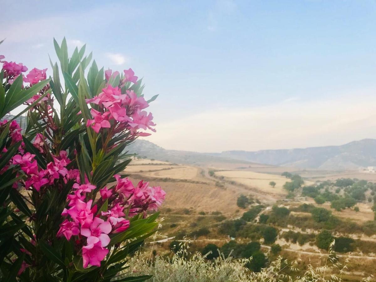 Panoramic Holidays ペイヤ エクステリア 写真